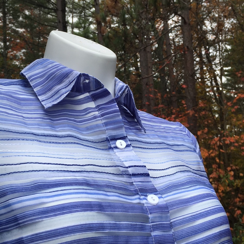 Sheer Blue Striped Button Down Size 10 - image 6